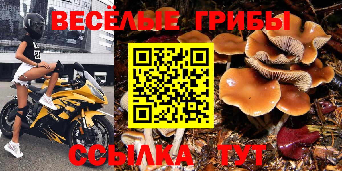 Псилоцибиновые грибы MAGIC MUSHROOMS  Вход с VPN  где купить   Кунгур 