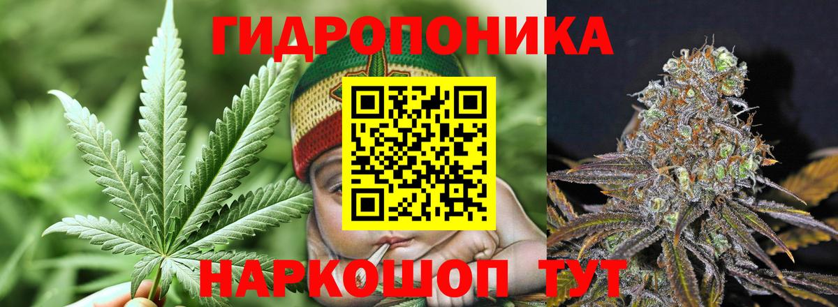 Канабис MAZAR  Каннабис семена  Бошки Шишки планчик  Вход с VPN  Кунгур 